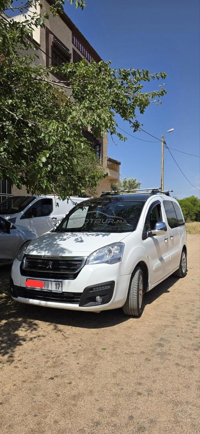 Peugeot tepee partner
