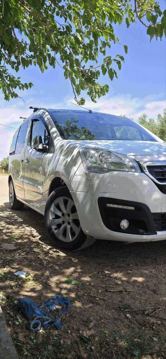 Peugeot tepee partner