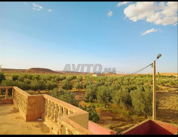 ميسور سيتي - 2