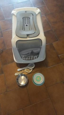 Litière pour chat d'intérieur