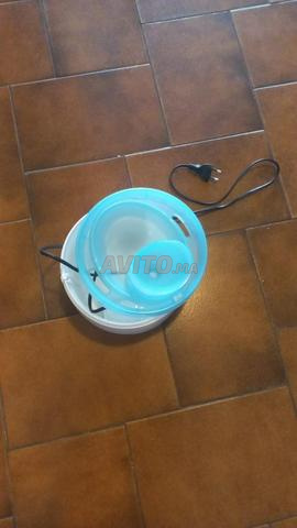 Fontaine à eau pour chat