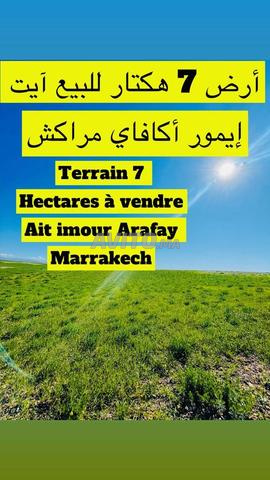 أرض مسجلة 7 هكتار 28 كم من مراكش