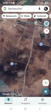 2 Hectares à vendre à Chaibat Oulad Si Hamdoun
