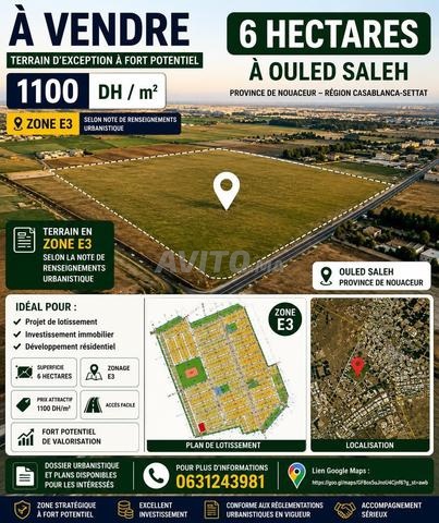 6 Hectares Zone E3 à Ouled Saleh