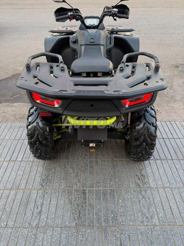 Quad Segway