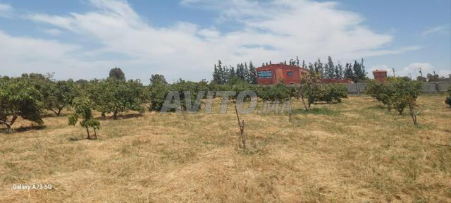 Terrain titre 12000m2 Kamouni - 2