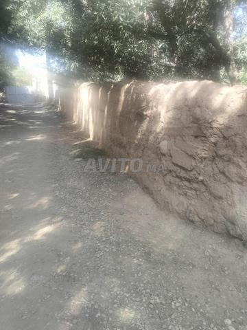 بستان محفظ بجماعة سيدي بوطيب (دوار كبدور) - 2
