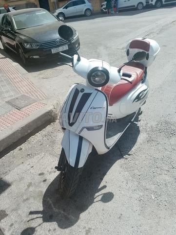 كابتشينو إس للبيع