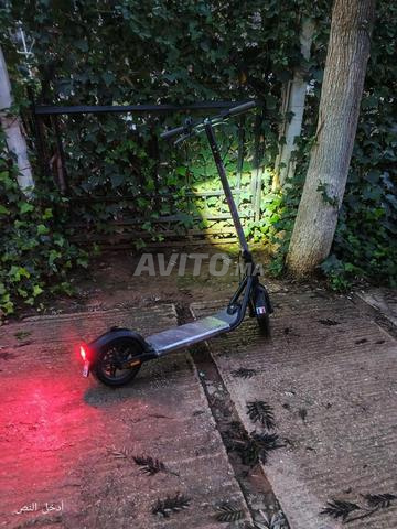 سكوتر (Ninebot F25e) لا يزال بحالة جيدة - 2