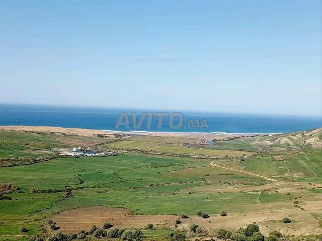 Environs d'Asilah