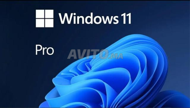 Clé Microsoft Windows 11 Pro GLOBALE - 2