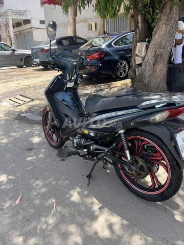 فيس سانيا - 2