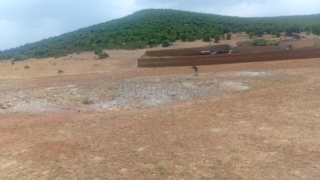 Terrain Titré constructible 213m2 Imouzzer Kandar - 2