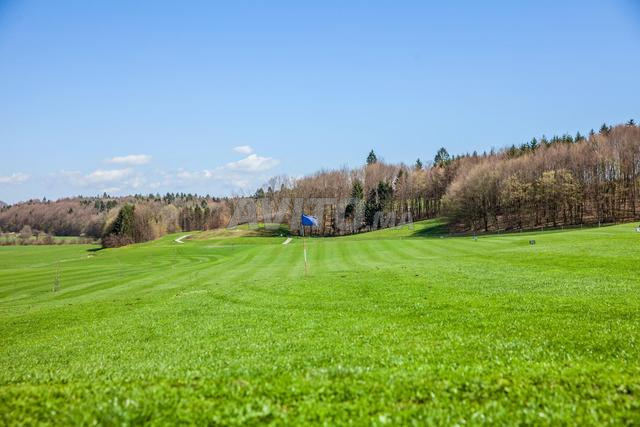 Terrain agricole à vendre trois hectares