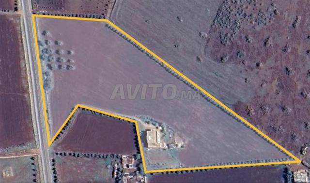 Ferme agricole à vendre, superficie d'un hectare ou 1000 mètres