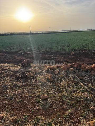4 hectares à vendre