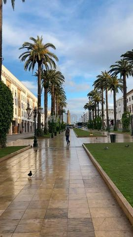 Studio Rabat