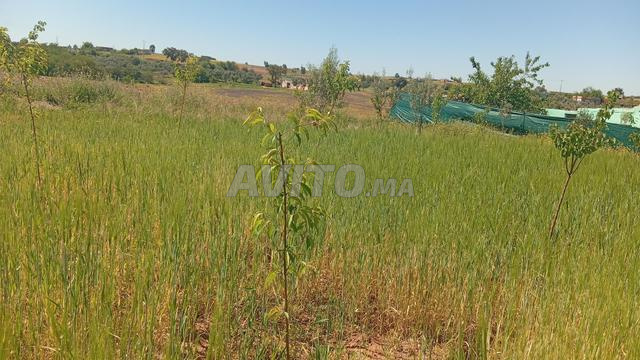 تيفلت والمناطق المجاورة - 2