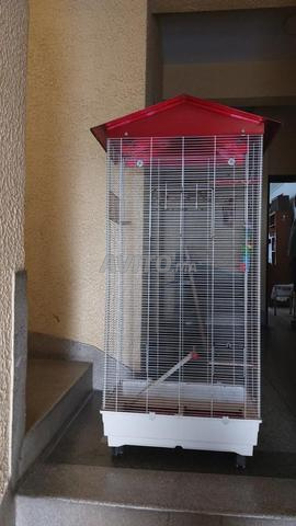 Cage à oiseaux grande - 2
