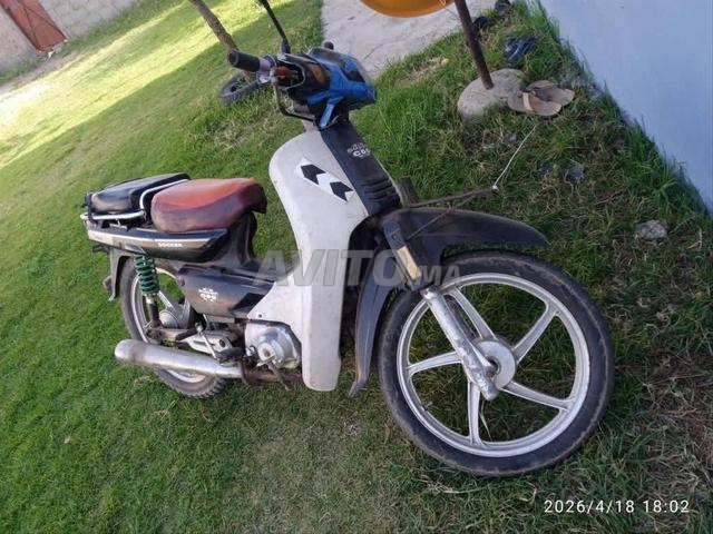 C50 Dyl Liul 😝