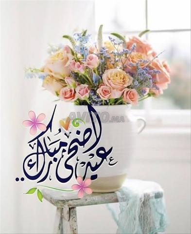 شقتان فاخرتان فارغتان لزوجين أو 3 فتيات عازبات - 2