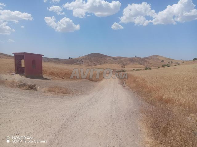 Vente terrain titré