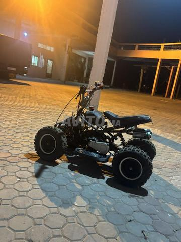 Moto Quoid - 2