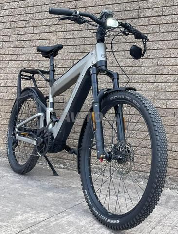 Riese Muller Superdelite GT Speed