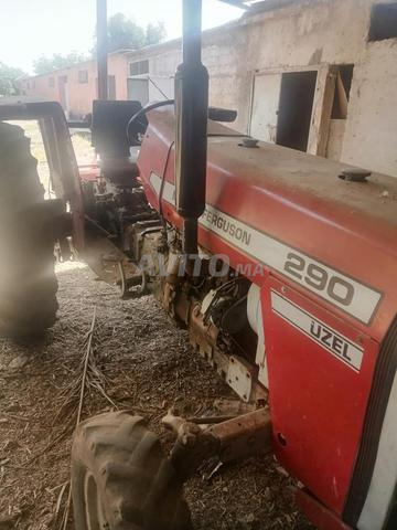 Massey Ferguson - 2
