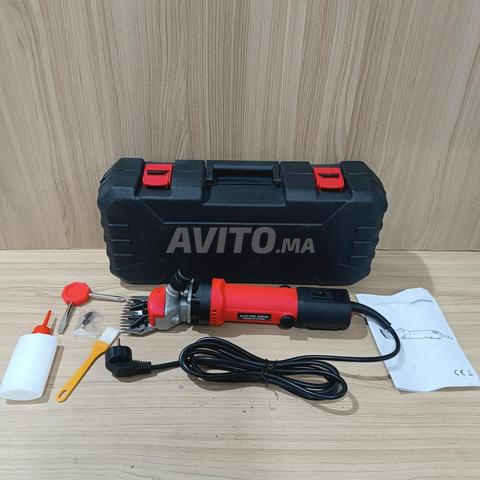 Tondeuse Professionnelle pour Animaux 850W