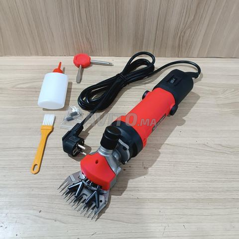 Tondeuse Professionnelle pour Animaux 850W - 2