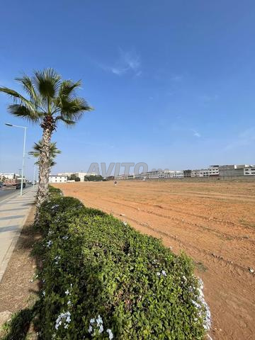 Terrain commercial 4,8 hectares m² R6 Salé - 2
