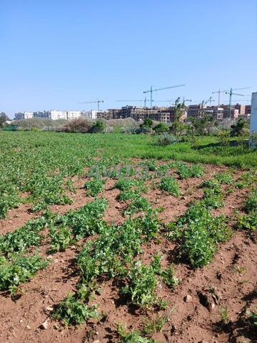 Terrain 5000 M2 - 2