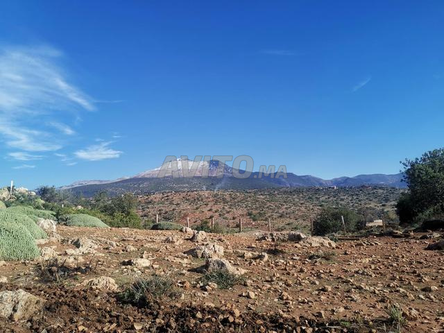 1 hectare à vendre Jbel Ain Asserdoun Beni Mellal - 2