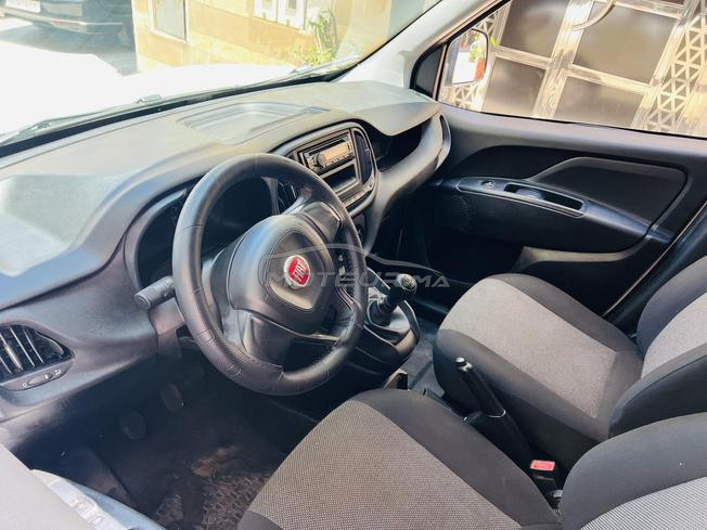 Fiat Doblo jamais accidenté,