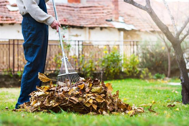 Nettoyage du jardin et ménage à domicile