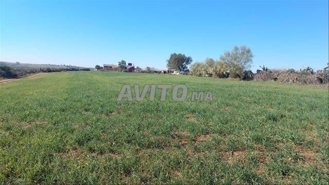 Terrains titrés exceptionnels à usage d'habitation avec vue sur mer à Sidi Rahal