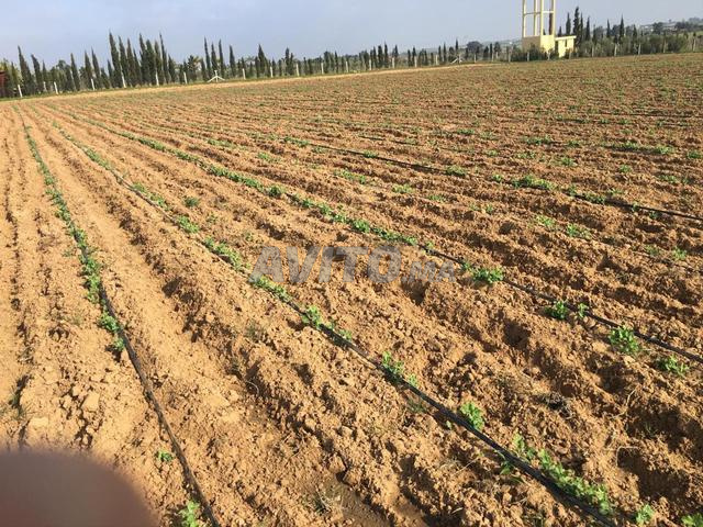 أرض فلاحية مسجلة ببئر وكهرباء - 2