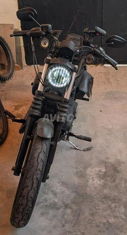 Harley Davidson 883 iron