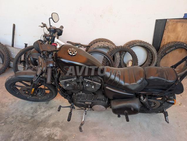 Harley Davidson 883 iron