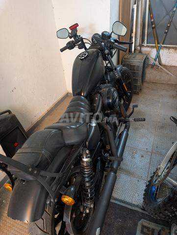 Harley Davidson 883 iron