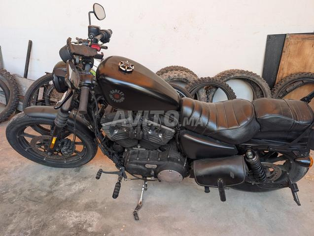Harley Davidson 883 iron