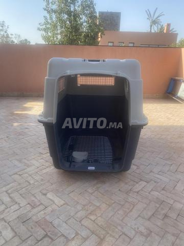 Cage De Transport IATA Taille 7