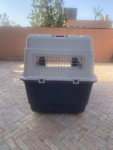 Cage De Transport IATA Taille 7 - 2