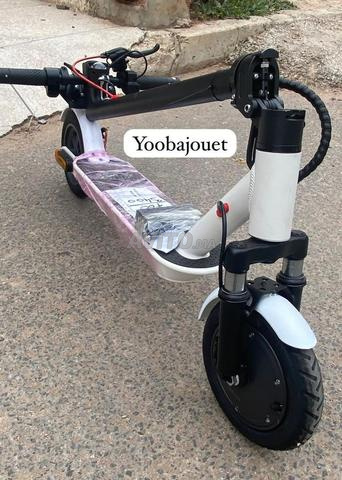 Nous vous avons apporté le meilleur cadeau cet été
