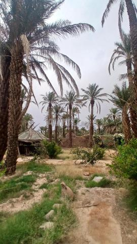 نزل وخيمة بدوية 3000 متر مربع مسجل