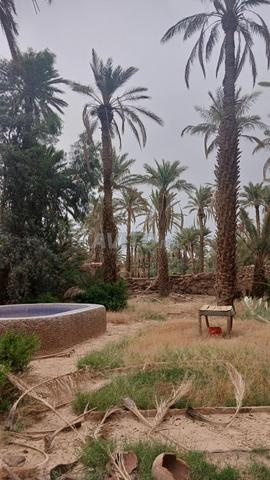 نزل وخيمة بدوية 3000 متر مربع مسجل - 2