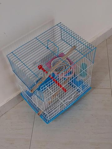Cage pour oiseau - 2