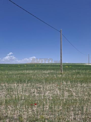 2 hectares agricoles enregistrés - 2