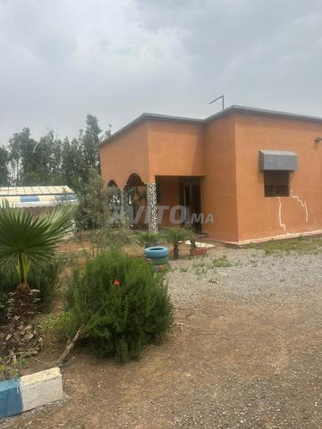 2500 متر مربع مسجل مبني - 2